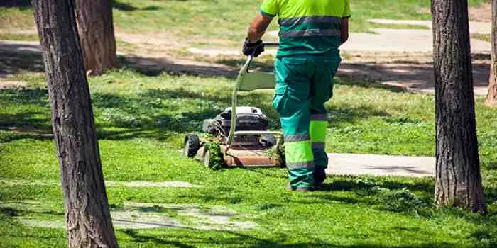 باغبانی در حال کوتاه کردن چمنهای سبز