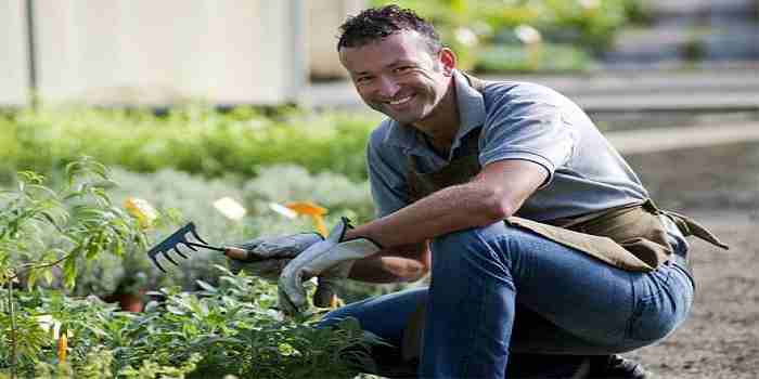 باغبان در کنار گل و گیاهان سبز