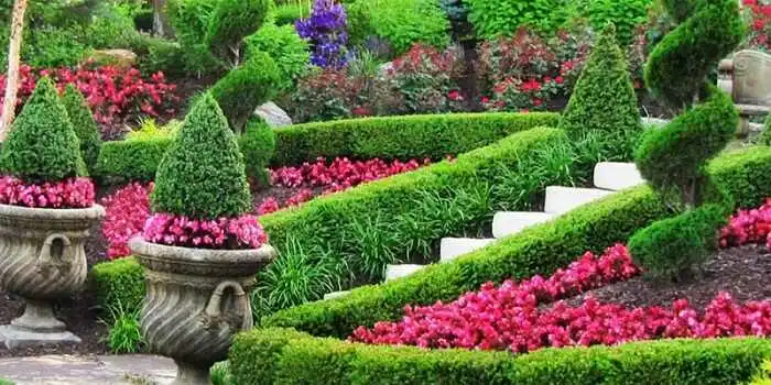 اصول طراحی فضای سبز تصویر یک پارک