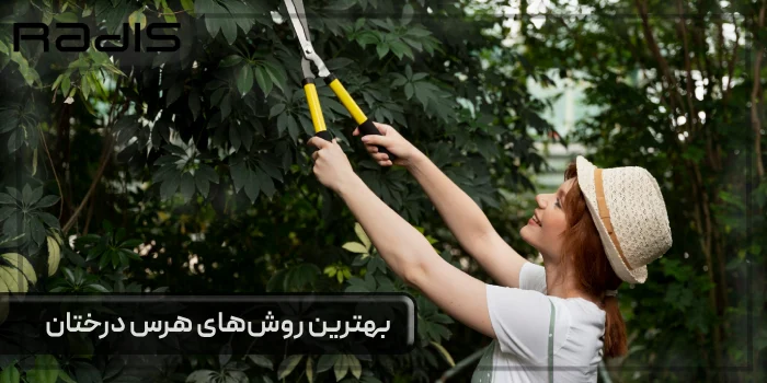 هرس درختان [بهترین روش‌ها برای زیبایی باغچه] _ تصویری از یک خانم جوان در حال هرس درختان