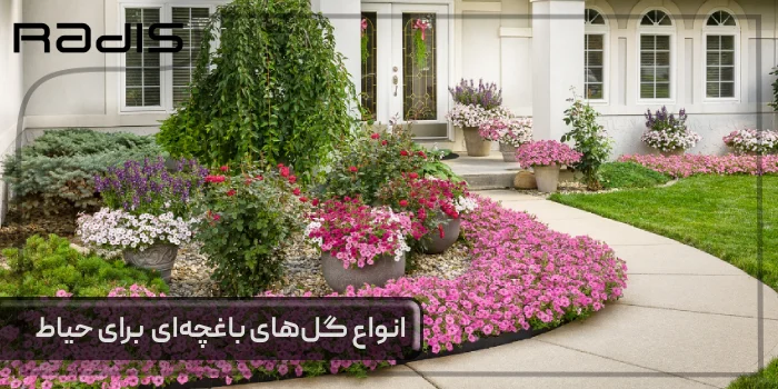 انواع گلهای باغچه ای برای حیاط _ تصویری از گل‌های زیبا در محوطه بیرونی یک ویلا